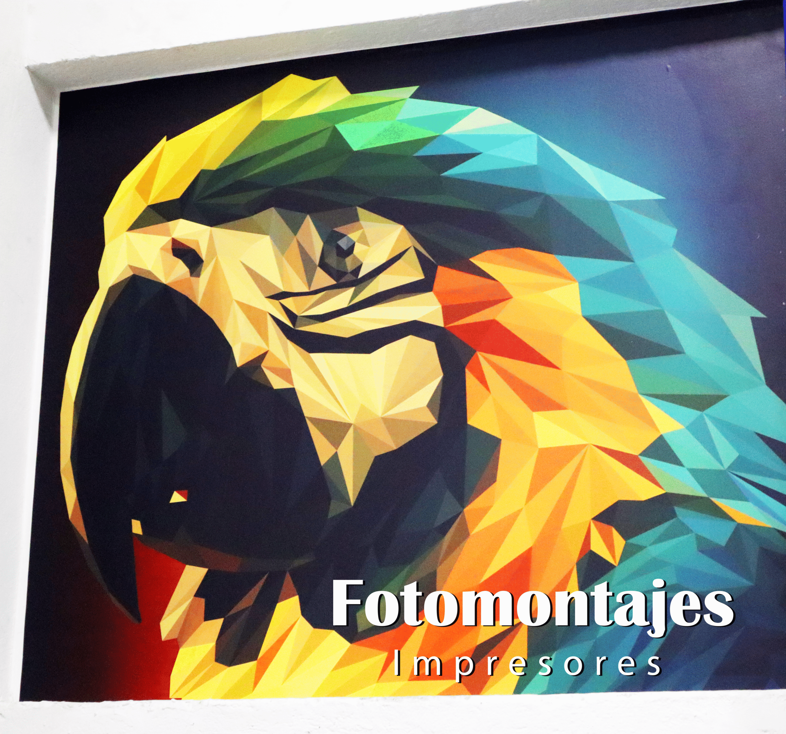 Fotomontajes-Litografía-Gran-Formato 10